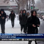 В Шымкенте был зафиксирован большой рост заболеваемости ОРВИ